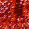 Rose Petal Red/Rounds-Collections series