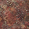 Slow Burn Red/Skin Deep