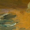 Tide Pool