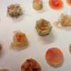 Specimens