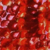 Encaustic Monotypes