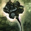 Black Rose Memory/HD series