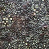 Slow Burn Maroon/Skin Deep