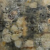 Work from Series Locating Beauty
Body Language & Skin Deep