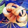 All Watercolors