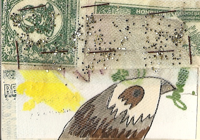 veiled bird