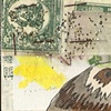 veiled bird