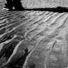 SAND