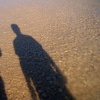 SELF PORTRAITS