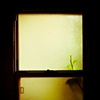 SHOWER 7