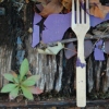 Remnants of A Picnic 