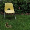 Your Empty Seat