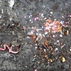 The Party Is Over