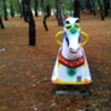 Lost In the Woods