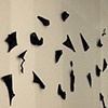 Shadow Skins