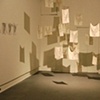 Installation Shot
