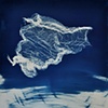 Cyanotypes