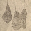 Cocoons for my Mother