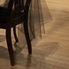 Etiquette School: Southeast View