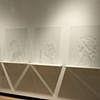 Shadow Portraits