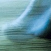 Phantom Limbs (Diptych)