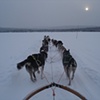 Arrenjarka