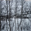 Untitled (Fjords)