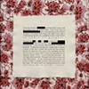 The Interrogation of Frida Rohz