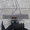 Untitled (Berlin)