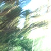 Movement by Isabella