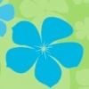 HAWAIIAN TELCOM