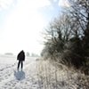Winter Walk, Old Buckenham, England
