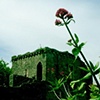 Chepstow Castle, Wales