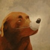 Bad Dog Series