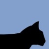 Blackcat