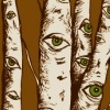 Eyes