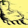 Every Step