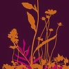 My Nature