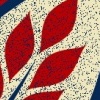 Lead
