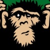 Monkies