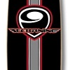 Wings Pin