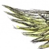 Wind