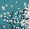 Monarch