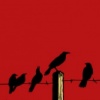 Boundaries