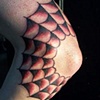 elbow web