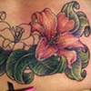 Cover Up with Lilies in Progress