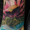Scarab Cover-up with Lotus