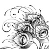 peacock feathers