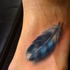 Blue Jay Feather