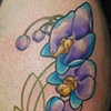 fun Orchids! 